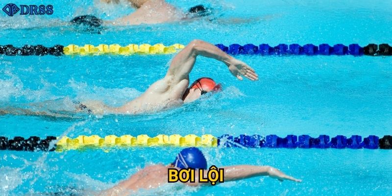 Làm sao để thành công với cá cược bơi lội DR88? 10 Làm sao để thành công với cá cược bơi lội DR88?