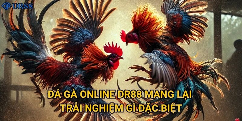 Đá Gà Online DR88 có phải là lựa chọn tốt nhất hiện nay? 2 Đá Gà Online DR88 mang lại trải nghiệm gì đặc biệt?