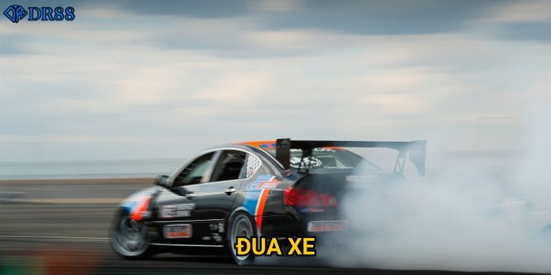 Có gì thú vị về cá cược đua xe tại DR88? 5 Có gì thú vị về cá cược đua xe tại DR88?