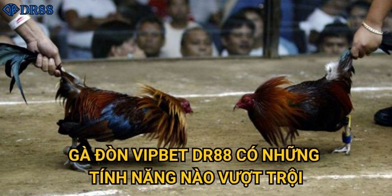 Vì sao Gà Đòn Vipbet tại DR88 được đánh giá cao? 2 Gà Đòn Vipbet DR88 có những tính năng nào vượt trội?