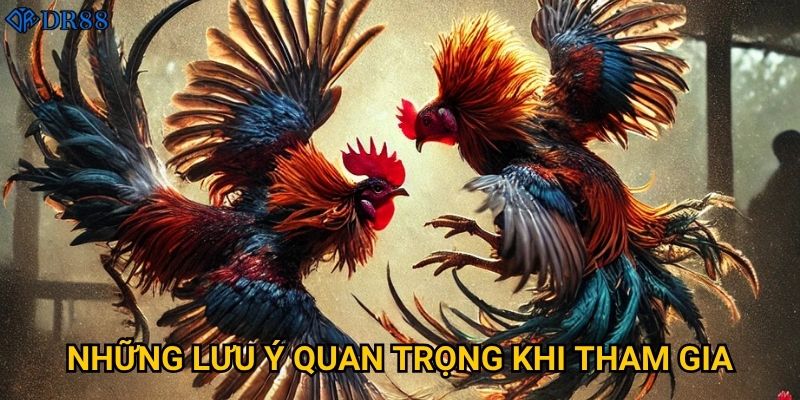 Đá Gà Online DR88 có phải là lựa chọn tốt nhất hiện nay? 3 Những lưu ý quan trọng khi tham gia?