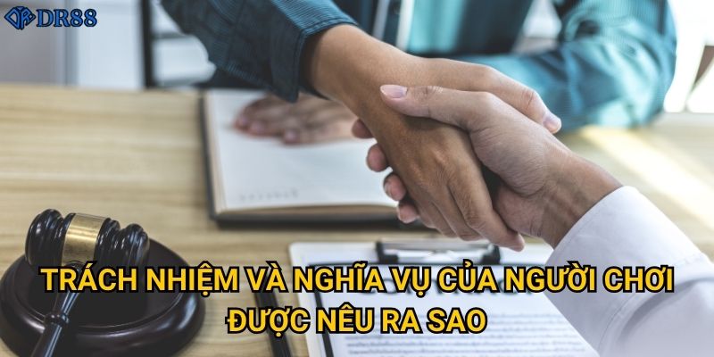 Trách nhiệm và nghĩa vụ của người chơi được nêu ra sao?
